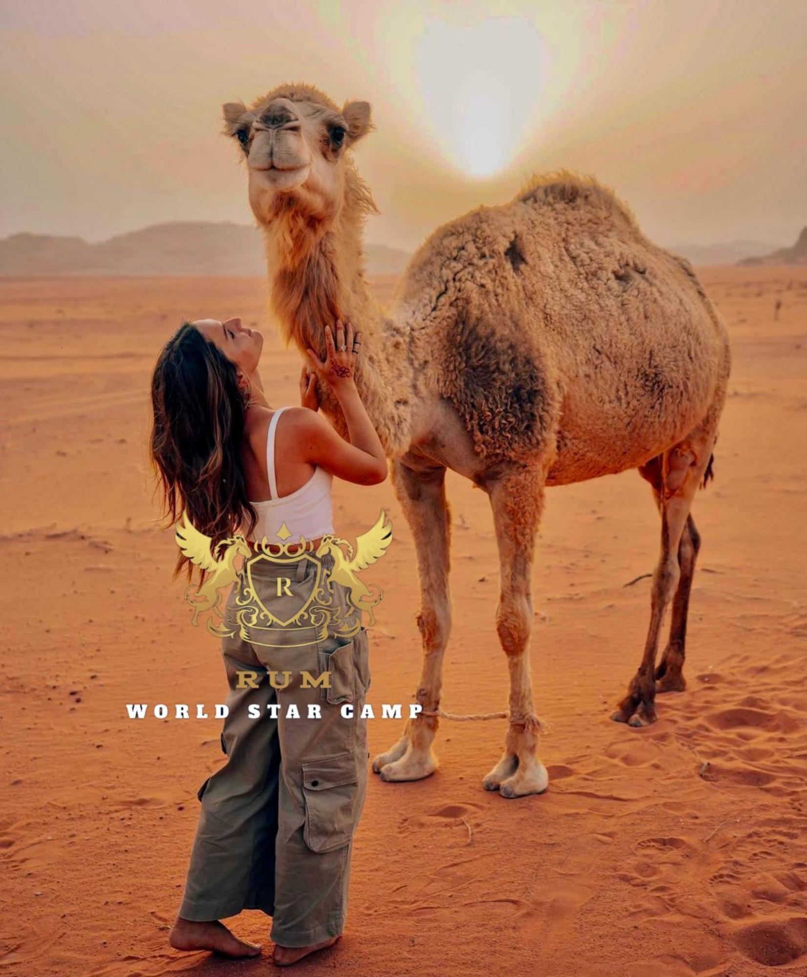 Rum Mountain Luxury Camp Aparthotel Wadi Rum Exteriör bild